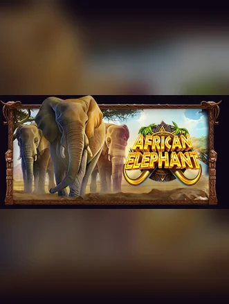 African Elephant