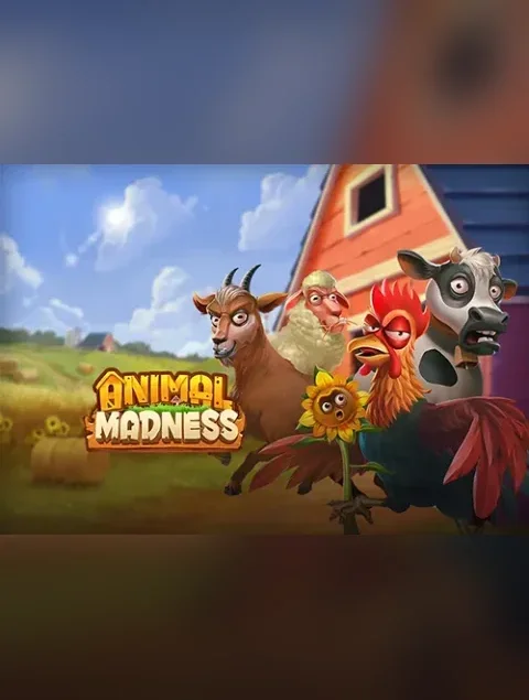 Animal Madness