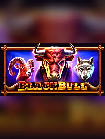 Black Bull