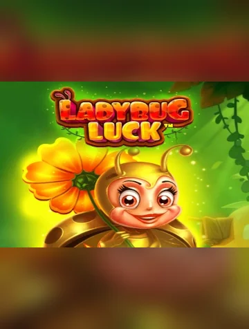 Ladybug Luck