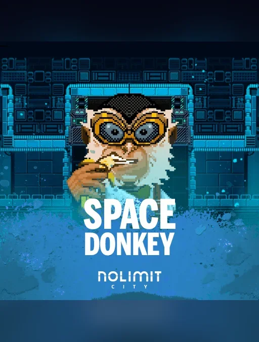 Space Donkey